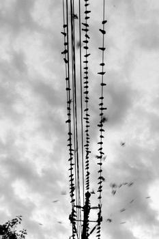 ˫�ۼ�������Ƶ���й���ĩӭ�����߳���9����3�����ϻ�������...